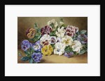 Pansies by Thomas Frederick Collier