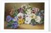 Pansies by Thomas Frederick Collier