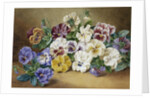 Pansies by Thomas Frederick Collier