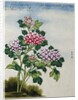Early 19th-Century Chinese Watercolor of a Hydrangea by Anonymous