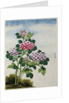 Early 19th-Century Chinese Watercolor of a Hydrangea by Anonymous