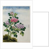 Early 19th-Century Chinese Watercolor of a Hydrangea by Anonymous