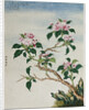 Early 19th-Century Chinese Watercolor of Flowers by Anonymous