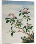 Early 19th-Century Chinese Watercolor of Flowers by Anonymous