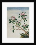 Early 19th-Century Chinese Watercolor of Flowers by Anonymous