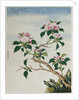 Early 19th-Century Chinese Watercolor of Flowers by Anonymous