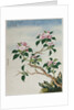 Early 19th-Century Chinese Watercolor of Flowers by Anonymous