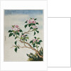 Early 19th-Century Chinese Watercolor of Flowers by Anonymous