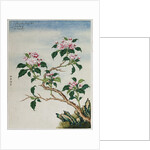 Early 19th-Century Chinese Watercolor of Flowers by Anonymous