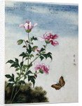 Early 19th-Century Chinese Watercolor of Pink Flowers by Anonymous