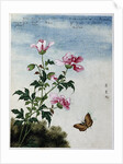 Early 19th-Century Chinese Watercolor of Pink Flowers by Anonymous