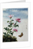 Early 19th-Century Chinese Watercolor of Pink Flowers by Anonymous