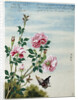 Early 19th-Century Chinese Watercolor of Pink Roses by Anonymous
