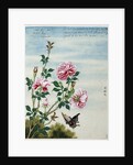 Early 19th-Century Chinese Watercolor of Pink Roses by Anonymous