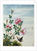 Early 19th-Century Chinese Watercolor of Pink Roses by Anonymous