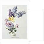 A Study of Lilac and Roses by Madeleine Lemaire