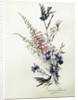A Study of Heather, Cornflower, and Blossom by Madeleine Lemaire