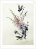 A Study of Heather, Cornflower, and Blossom by Madeleine Lemaire