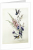 A Study of Heather, Cornflower, and Blossom by Madeleine Lemaire
