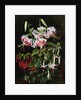 Rubrum Lilies and Fucshias by Johan Laurentz Jensen