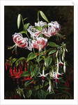 Rubrum Lilies and Fucshias by Johan Laurentz Jensen