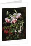 Rubrum Lilies and Fucshias by Johan Laurentz Jensen