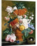 A Vase of Rich Summer Flowers by Jan van Huysum