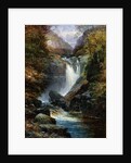 The Waterfall by Clarence Roe