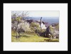 Springtime, Devon by John White