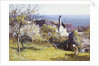 Springtime, Devon by John White