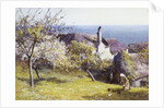 Springtime, Devon by John White
