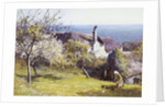 Springtime, Devon by John White