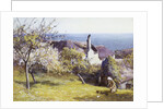 Springtime, Devon by John White