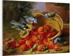 A Feast of Strawberries (Blue Tits) by Eloise Harriet Stannard