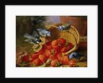 A Feast of Strawberries (Blue Tits) by Eloise Harriet Stannard