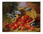 A Feast of Strawberries (Blue Tits) by Eloise Harriet Stannard