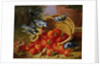 A Feast of Strawberries (Blue Tits) by Eloise Harriet Stannard