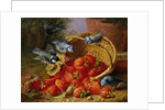 A Feast of Strawberries (Blue Tits) by Eloise Harriet Stannard