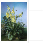 Yellow Flowers in Front of the Blue Sky by Louis-Apollinaire Sicard