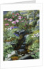 Alpine Flowers by a Stream by Otto Diderich Ottesen