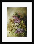 A Study of Lilac by Claude Massmann