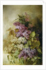 A Study of Lilac by Claude Massmann
