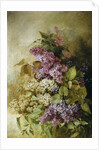 A Study of Lilac by Claude Massmann