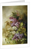 A Study of Lilac by Claude Massmann