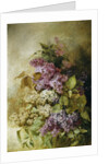 A Study of Lilac by Claude Massmann