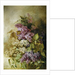 A Study of Lilac by Claude Massmann