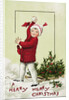 A Merry Merry Christmas Postcard by Anonymous