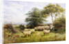 Changing Pastures by George Shalders