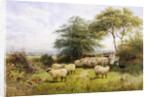 Changing Pastures by George Shalders