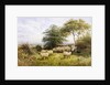 Changing Pastures by George Shalders